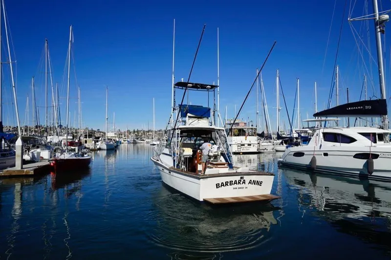 Slide: The Image of Topaz 29 Express Fisherman 1984 - 3