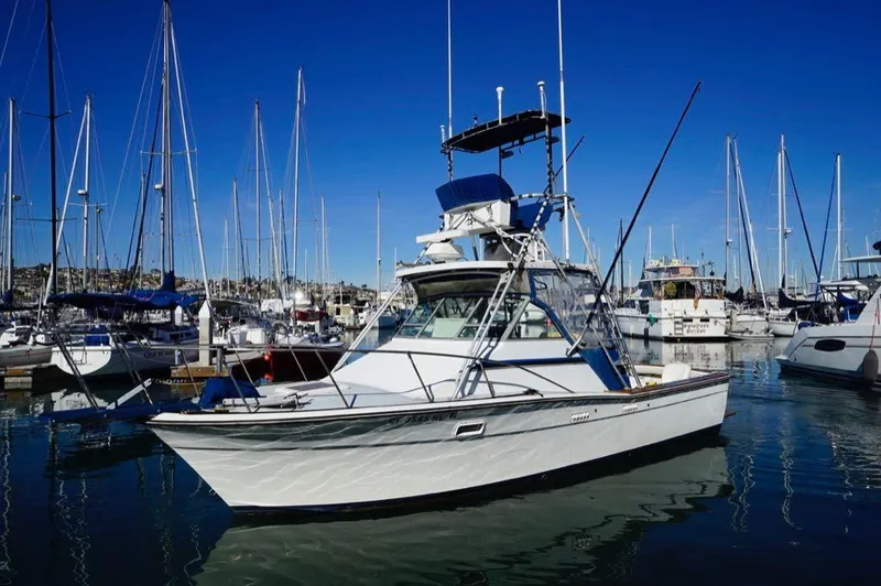 The Image of Topaz 29 Express Fisherman 1984 - 0