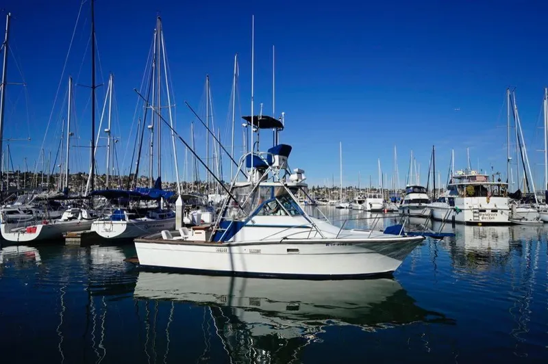 Slide: The Image of Topaz 29 Express Fisherman 1984 - 1