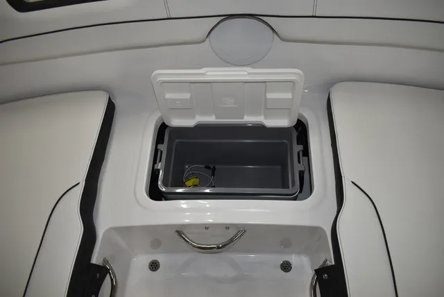 Slide: The Image of Stingray 172DC 2025 - 25