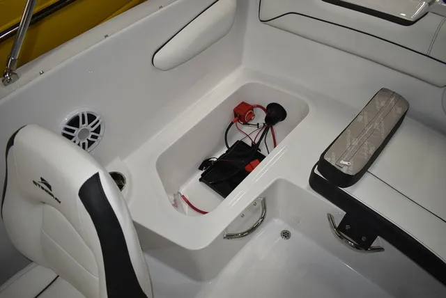 Slide: The Image of Stingray 172DC 2025 - 26
