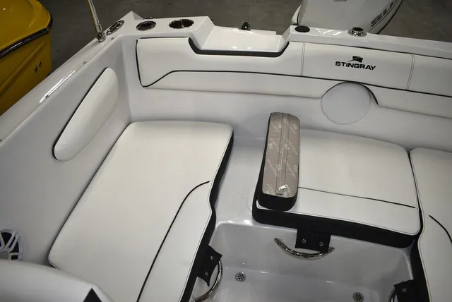Slide: The Image of Stingray 172DC 2025 - 40