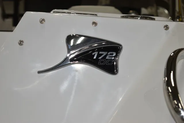 Slide: The Image of Stingray 172DC 2025 - 43