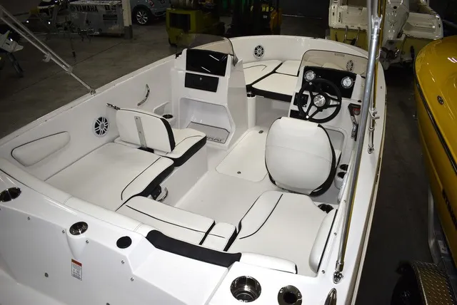 Slide: The Image of Stingray 172DC 2025 - 7