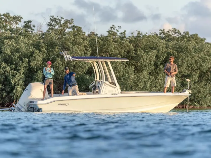 The Image of Boston Whaler 220 Dauntless 2027 - 0
