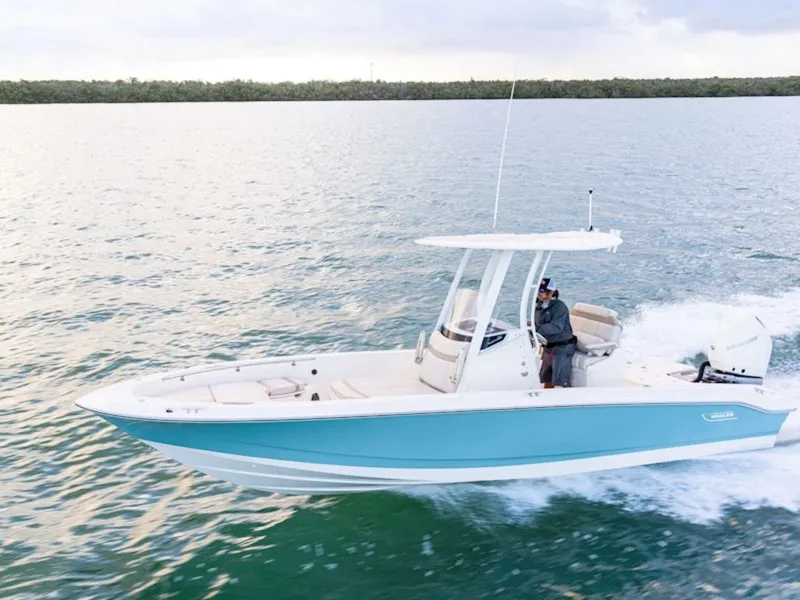 The Image of Boston Whaler 250 Dauntless 2027 - 0