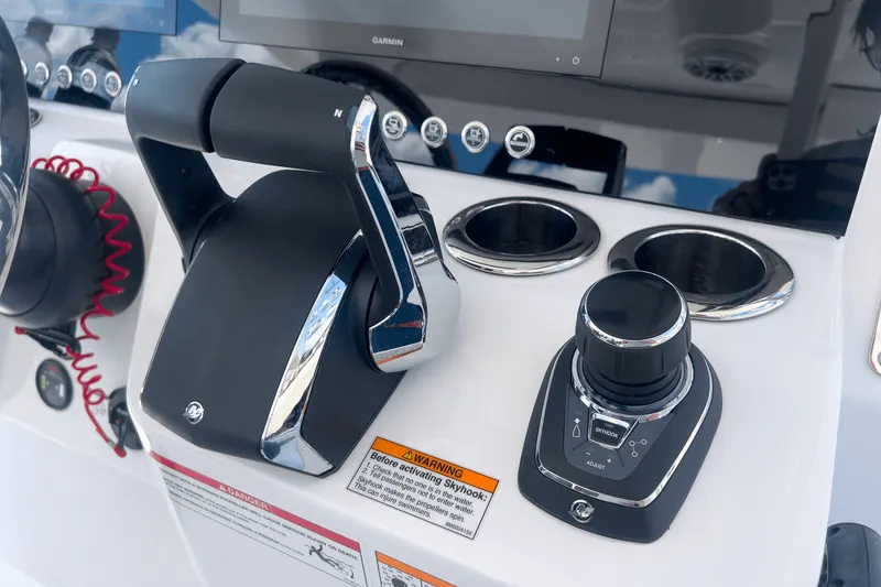 Slide: The Image of Bertram 39CC 2025 - 14