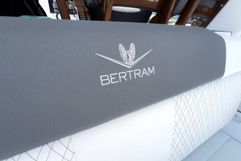 Slide: The Image of Bertram 39CC 2025 - 9