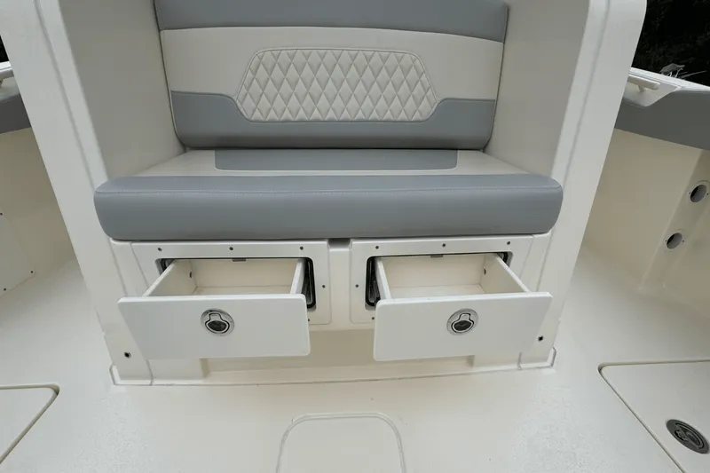 Slide: The Image of Scout 377 LXF 2025 - 12