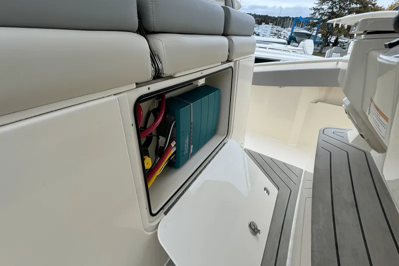 Slide: The Image of Scout 377 LXF 2025 - 25