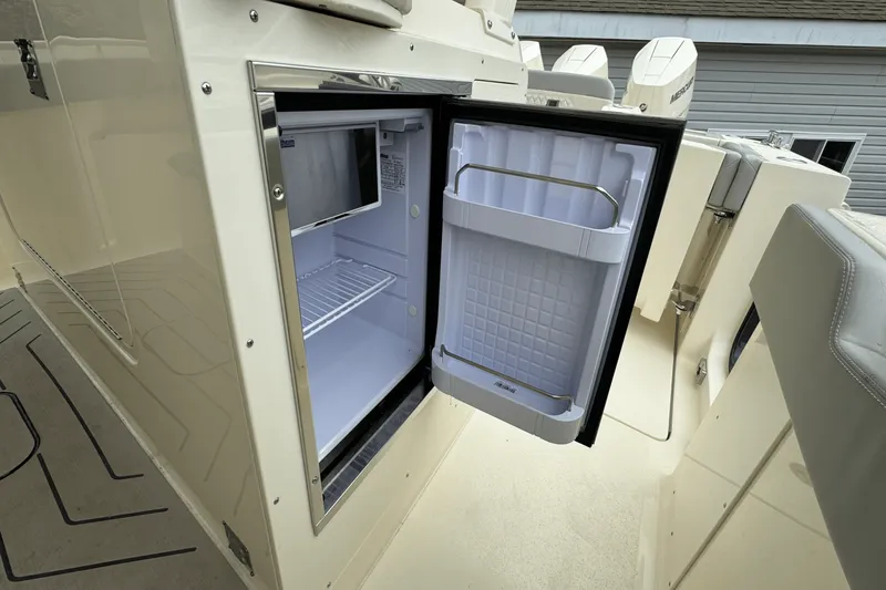 Slide: The Image of Scout 377 LXF 2025 - 27