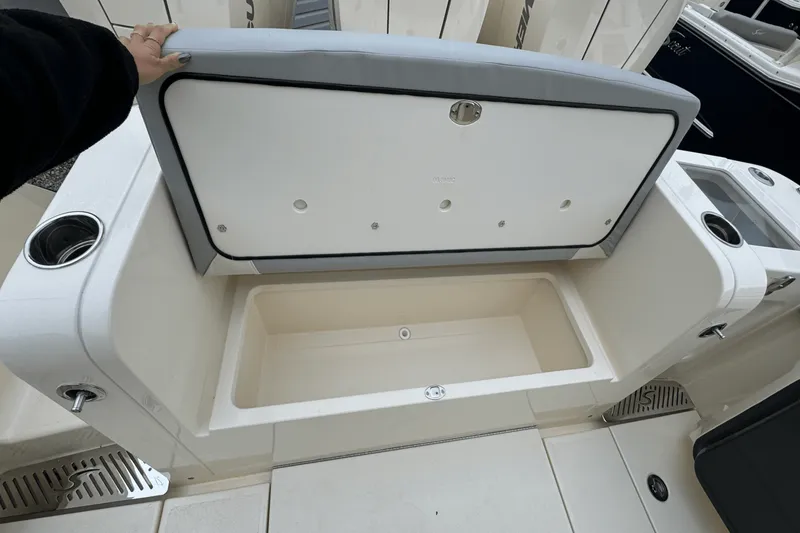 Slide: The Image of Scout 377 LXF 2025 - 4