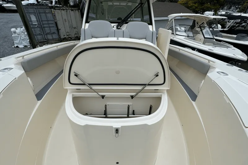 Slide: The Image of Scout 377 LXF 2025 - 42