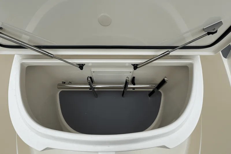 Slide: The Image of Scout 377 LXF 2025 - 57