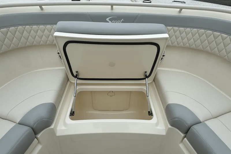 Slide: The Image of Scout 377 LXF 2025 - 72