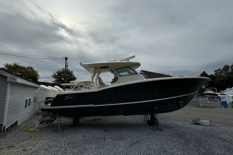 Slide: The Image of Scout 377 LXF 2025 - 84