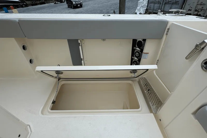 Slide: The Image of Scout 377 LXF 2025 - 9