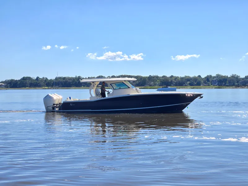 The Image of Scout 377 LXF 2025 - 0