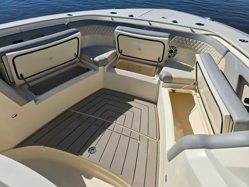 Slide: The Image of Scout 377 LXF 2025 - 39