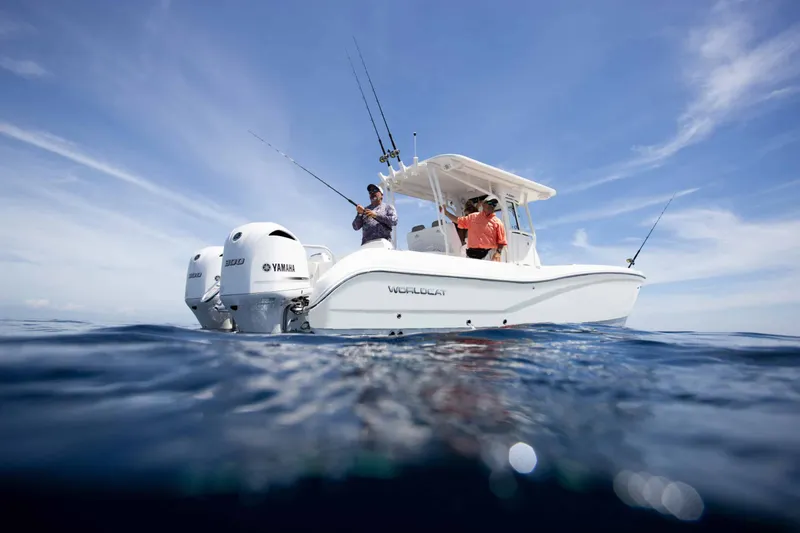 Slide: The Image of World Cat 295CC Center Console 2026 - 3