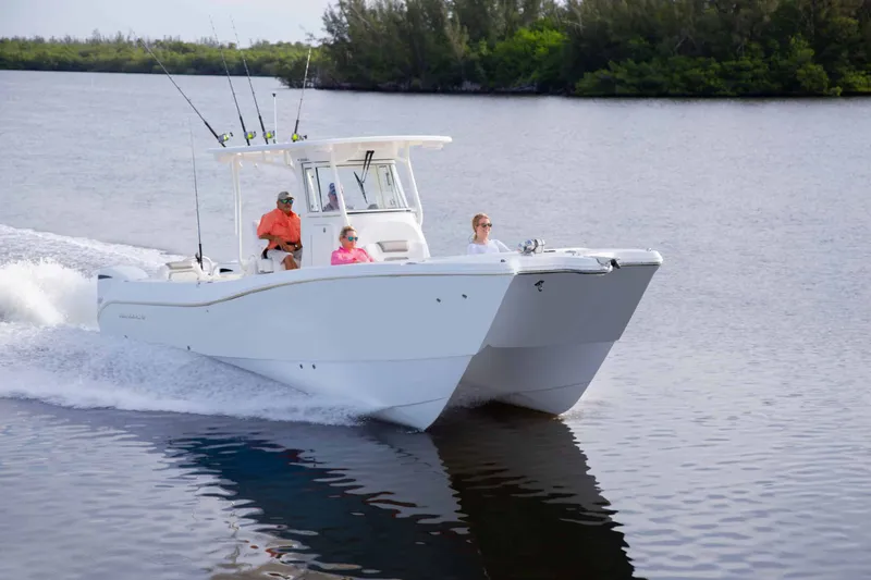 Slide: The Image of World Cat 295CC Center Console 2026 - 6