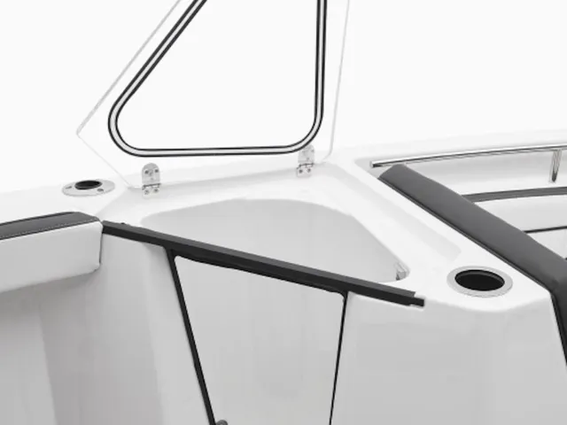 Slide: The Image of Yamaha 252 FSH Sport  2026 - 2