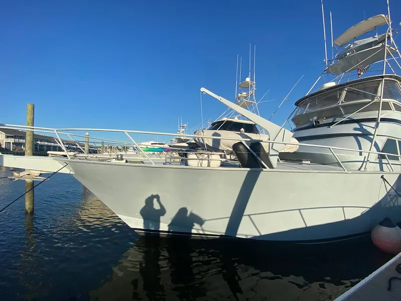 Slide: The Image of Striker 60 1981 - 11811849