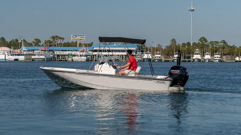 The Image of Boston Whaler 170 Montauk 2025 - 0