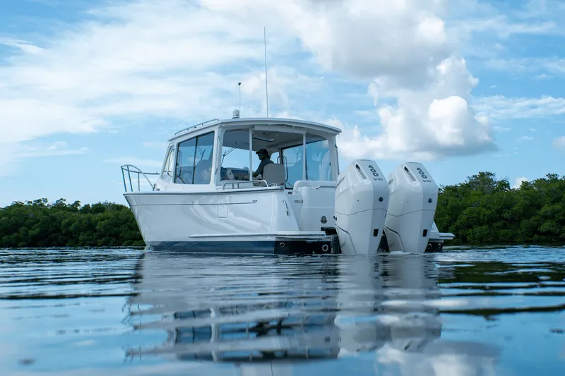 Slide: The Image of MJM 35 2025 - 28