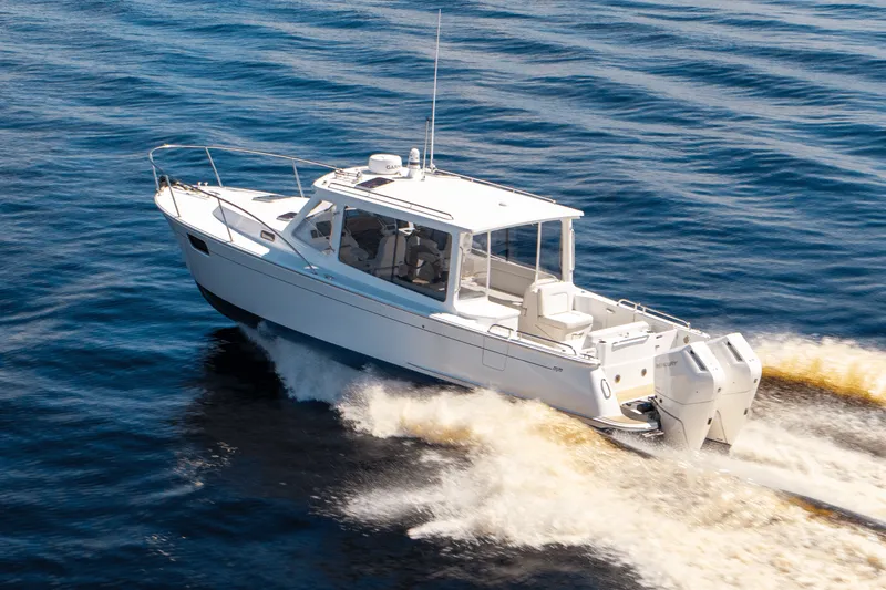 Slide: The Image of MJM 35 2025 - 3