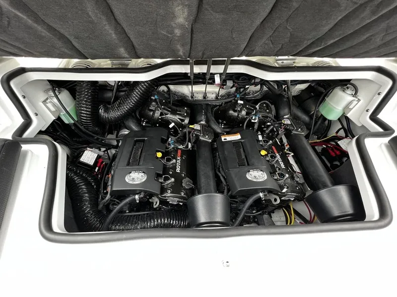 Slide: The Image of Scarab 215 ID 2023 - 11