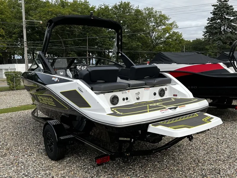 Slide: The Image of Scarab 215 ID 2023 - 2