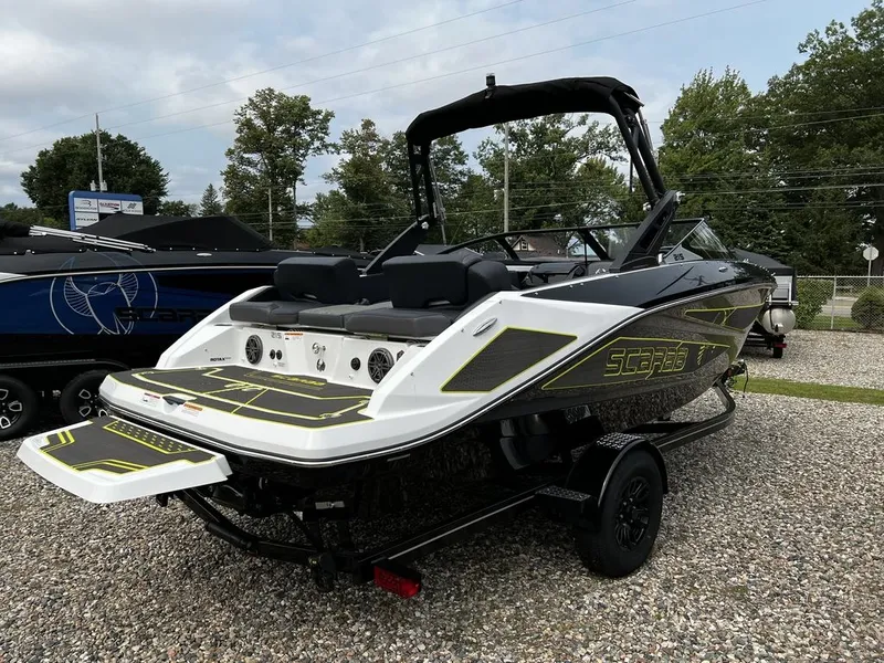 Slide: The Image of Scarab 215 ID 2023 - 3