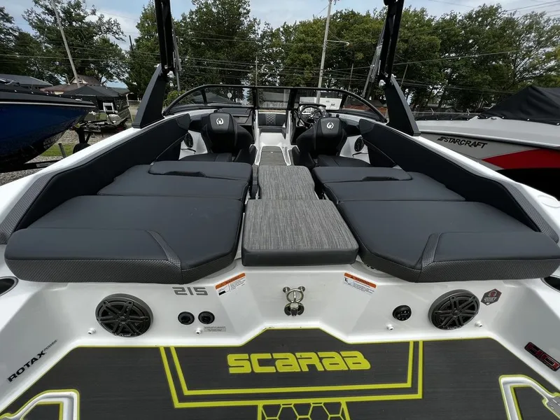 Slide: The Image of Scarab 215 ID 2023 - 8