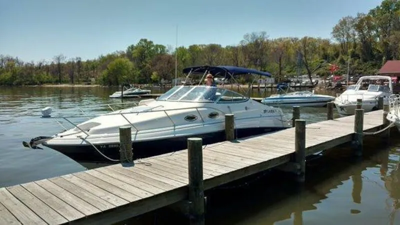 The Image of Larson Cabrio 260 2008 - 5
