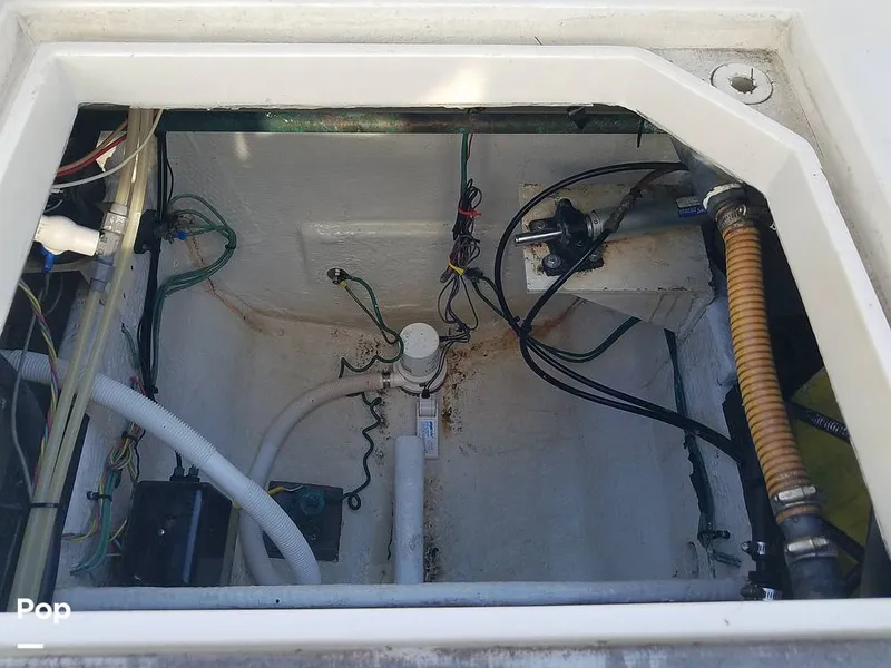 Slide: The Image of Wellcraft 3700 Cozumel 1988 - 6652065