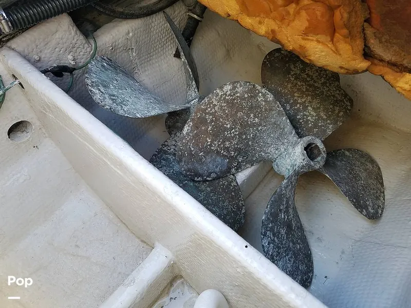 Slide: The Image of Wellcraft 3700 Cozumel 1988 - 6652067