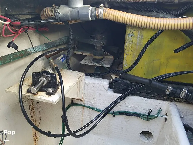 Slide: The Image of Wellcraft 3700 Cozumel 1988 - 6652068