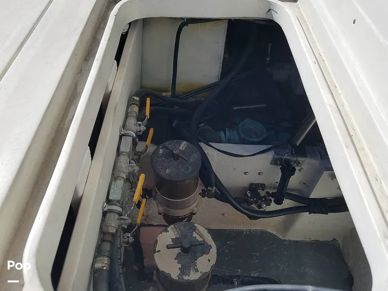 Slide: The Image of Wellcraft 3700 Cozumel 1988 - 6652077