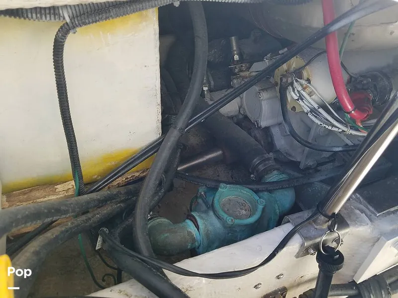 Slide: The Image of Wellcraft 3700 Cozumel 1988 - 6652081