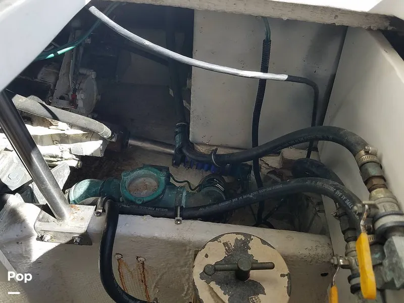 Slide: The Image of Wellcraft 3700 Cozumel 1988 - 6652083