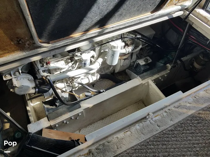 Slide: The Image of Wellcraft 3700 Cozumel 1988 - 6652181