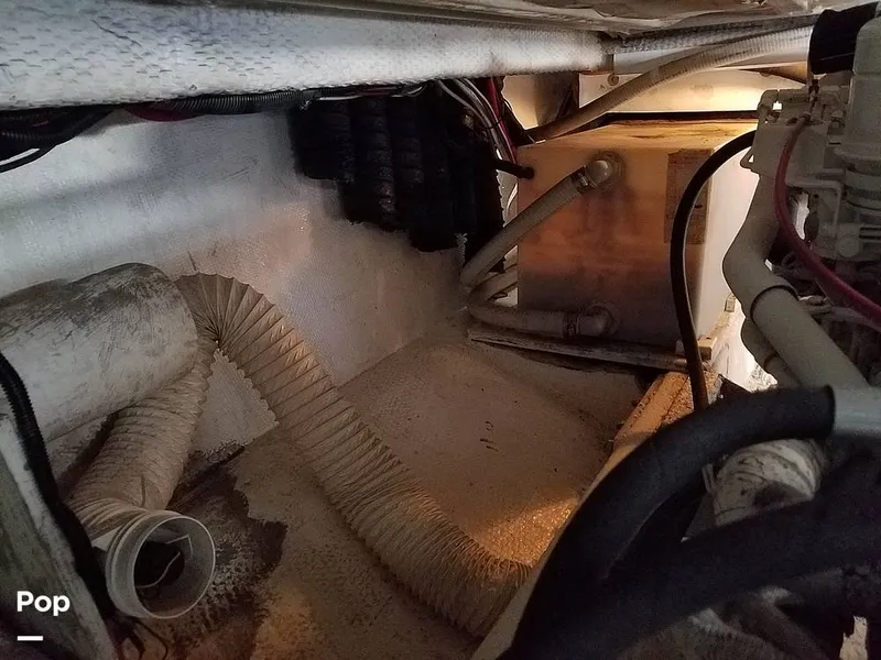 Slide: The Image of Wellcraft 3700 Cozumel 1988 - 6652234