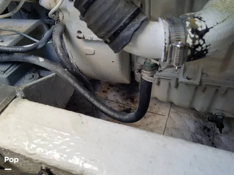 Slide: The Image of Wellcraft 3700 Cozumel 1988 - 6652242