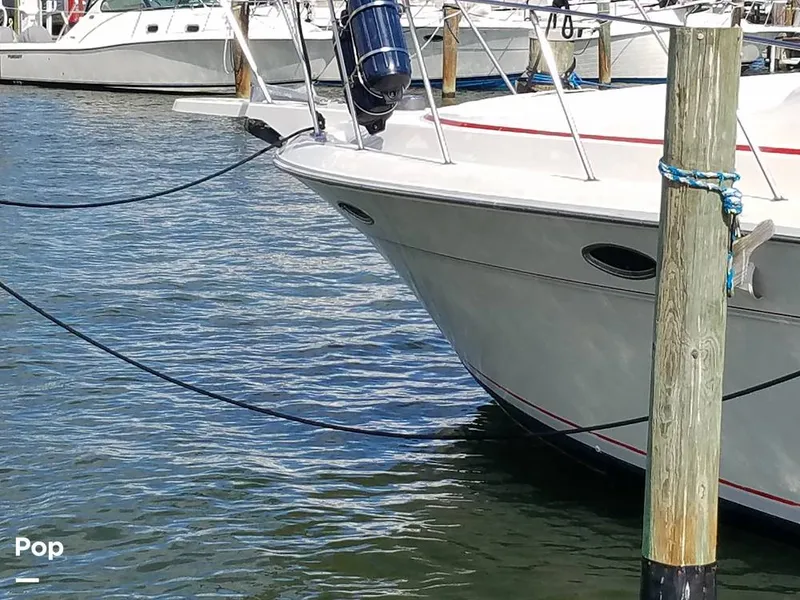 Slide: The Image of Wellcraft 3700 Cozumel 1988 - 6651959