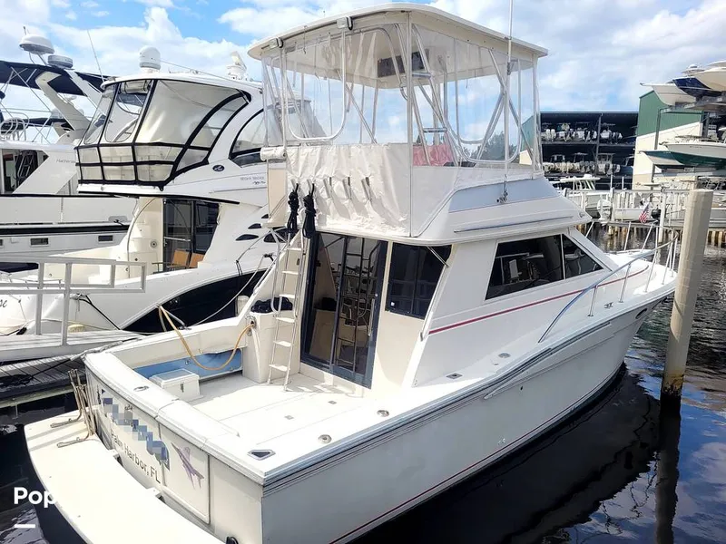 Slide: The Image of Wellcraft 3700 Cozumel 1988 - 13212994