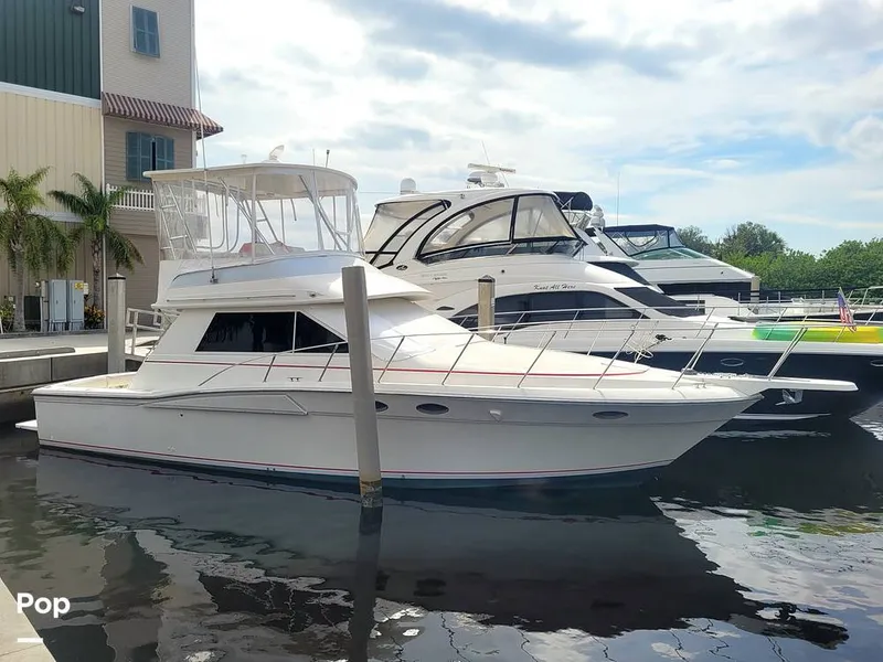 Slide: The Image of Wellcraft 3700 Cozumel 1988 - 13212996