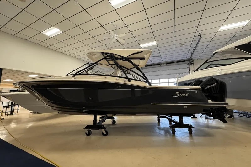 Slide: The Image of Scout 255 Dorado 2025 - 2