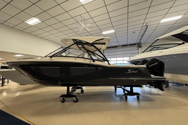 Slide: The Image of Scout 255 Dorado 2025 - 3