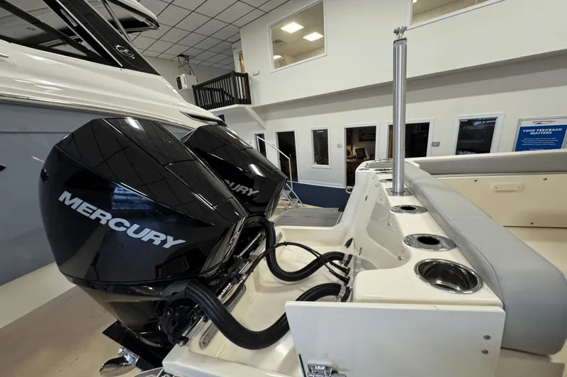 Slide: The Image of Scout 255 Dorado 2025 - 4